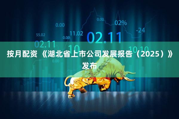 按月配资 《湖北省上市公司发展报告（2025）》发布