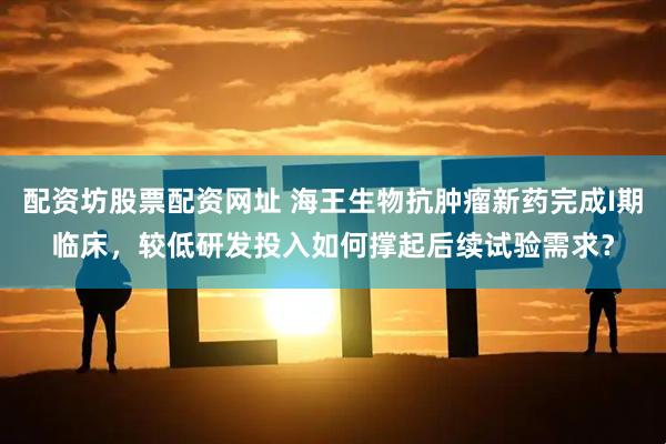 配资坊股票配资网址 海王生物抗肿瘤新药完成I期临床，较低研发投入如何撑起后续试验需求？