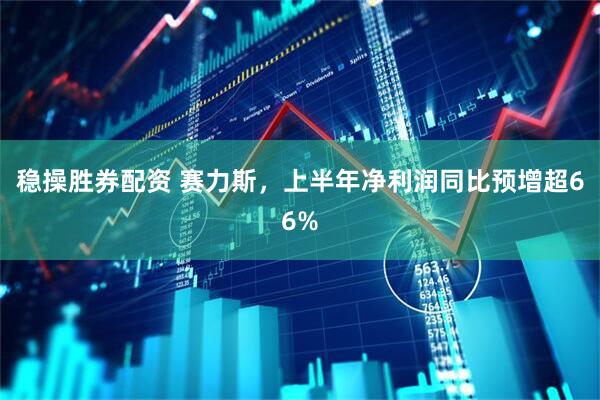 稳操胜券配资 赛力斯，上半年净利润同比预增超66%