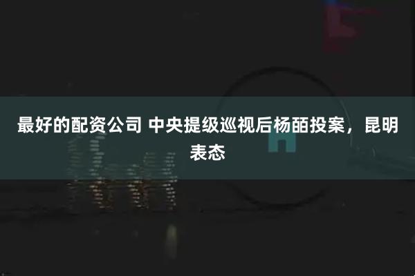 最好的配资公司 中央提级巡视后杨皕投案，昆明表态