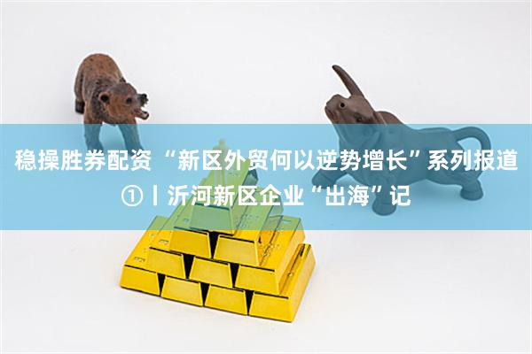 稳操胜券配资 “新区外贸何以逆势增长”系列报道①丨沂河新区企业“出海”记